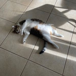 Meet your Posher, Debora